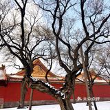 翻到了年前赶上下雪的时候去的旧宫，还是没忍住把照片发