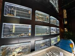 -鱼翅楼·津派砂锅鱼翅(水上公园店)