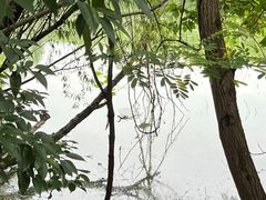 -谷咖啡·鲜花绿植花园餐厅