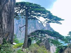 -黄山风景区