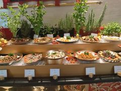 -迪拜帆船酒店海底餐厅