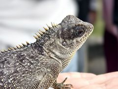 -浙江农林大学(东湖校区)