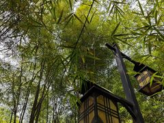 -大屏嶂森林公园