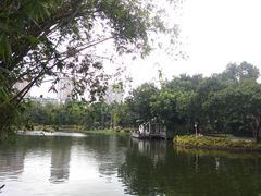-晓港公园