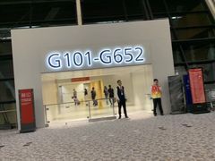 -上海浦东国际机场-T2航站楼