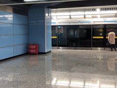 -大龙山(地铁站)