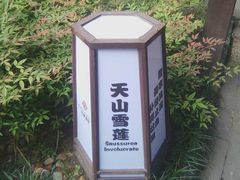-杭州第一世界大酒店·云曼温泉