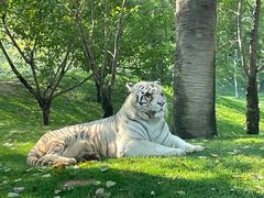 -北京野生动物园