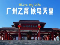 -大湾区中央湿地公园