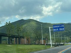-紫藤园·天目湖大鱼头(南山竹海店)