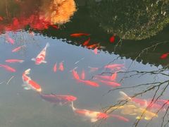 -雅达·阳羡溪山小镇中心