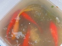-洪湖家庭农场·团建·露营·会议