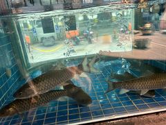-客家汇·客家传承菜(水库店)