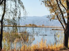 -野鸭湖国家湿地公园