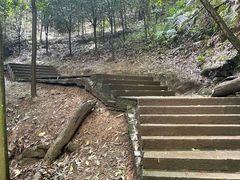 -凤栖山