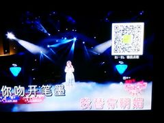 -堂会·KTV·自助餐·团建聚会(天河店)