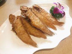 -金穗园·砂锅粥.醉鸡煲火锅(长寿路店)