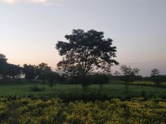 -汉长安城未央宫国家考古遗址公园