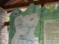 -都江堰中华大熊猫苑