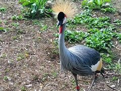 -哈尔滨北方森林动物园