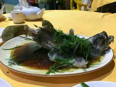 石斑鱼-真味馆(侨港碧海银滩店)