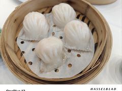 -馨越楼·点心·粤菜(赤坎店)