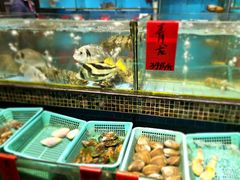 -海大大蒸汽海鲜餐厅·粤菜·特色小炒(欢乐颂店)