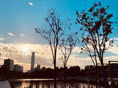 -白塘生态植物园
