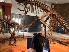 -自贡恐龙博物馆