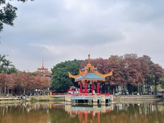 -金砂公园