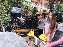 -灵玲国际马戏城