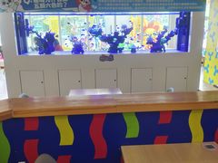 -海合安成都极地海洋公园