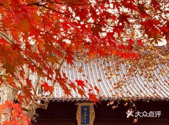 栖霞山 | 南京绝不可错过的秋色