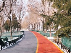 -大兴滨河森林公园