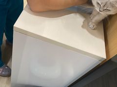 -pd派德宠物中心医院24H急重症·眼科中心·血液透析中心(嵩山北路店)