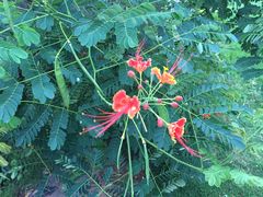 -亚马逊丛林水乐园