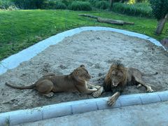 -北京野生动物园