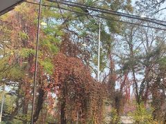 -丽泽山庄·生态怀柔菜·虹鳟鱼(红螺寺店)