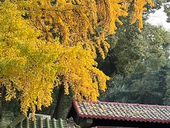 -四川大学(望江校区)