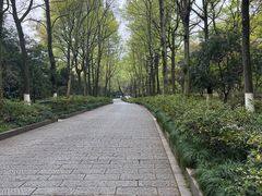 -杭州植物园