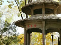 -玲珑塔公园