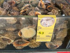 -鸿港海鲜批发市场