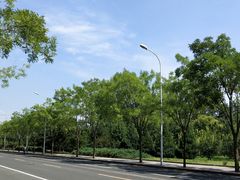 -北坞公园