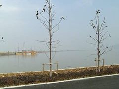 10-02-09_12-27-湖鲜楼