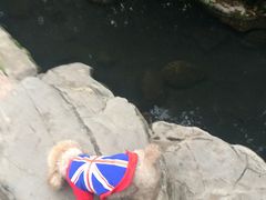 -天赐温泉