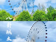 -特克斯八卦城