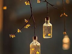 -梨花牛肉汤饭(仁恒伊势丹店)