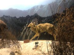 -陕西自然博物馆