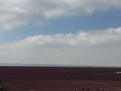 -红海滩国家风景廊道
