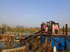 -上海长兴岛郊野公园